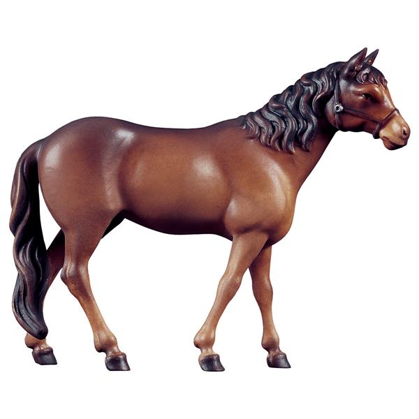 Pferd Brauner Pferd Brauner