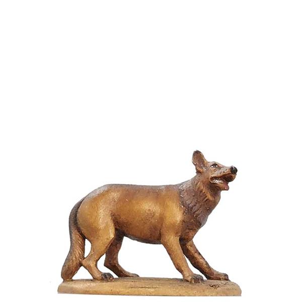 Schäferhund Schäferhund