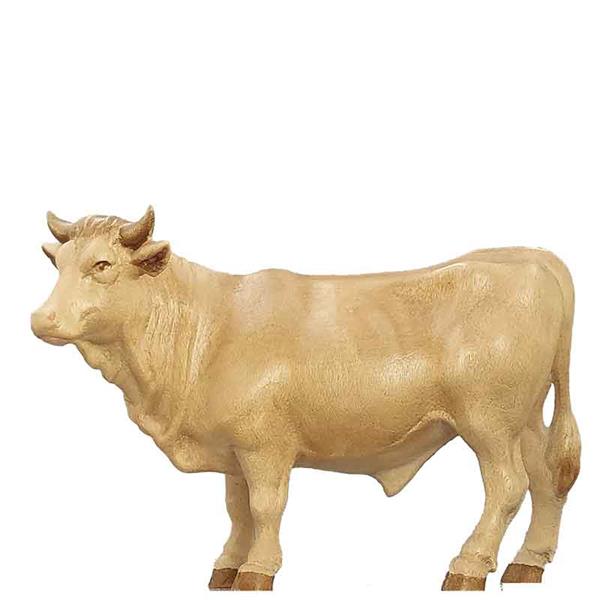 Ochs stehend Ochs stehend