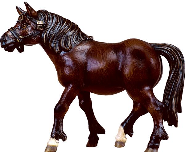 Pferd Rappe Pferd Rappe