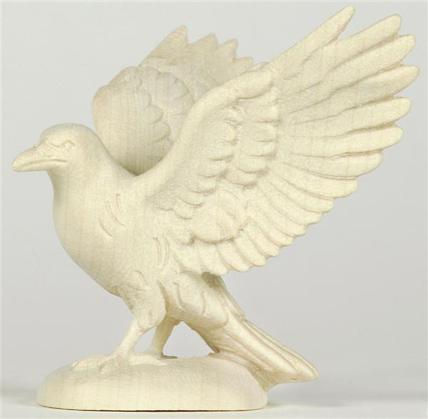 Specht Flügel offen Specht Flügel offen