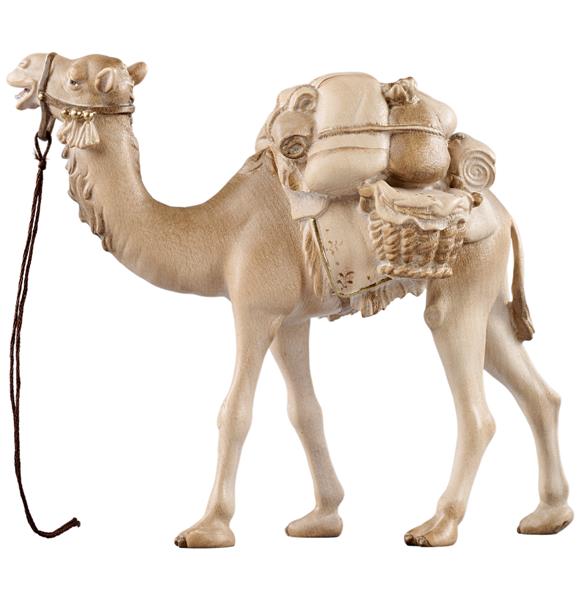 Kamel mit Gepäck Kamel mit Gepäck