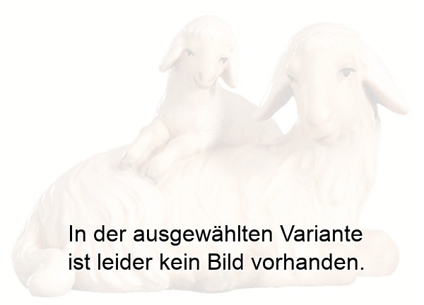 Schafgruppe liegend orientalisch Schafgruppe liegend orientalisch