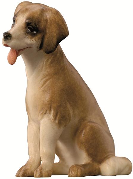 Hund modern Hund modern