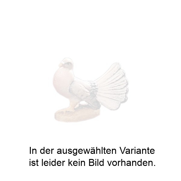 Taube Taube