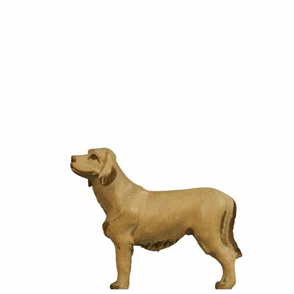 Hund