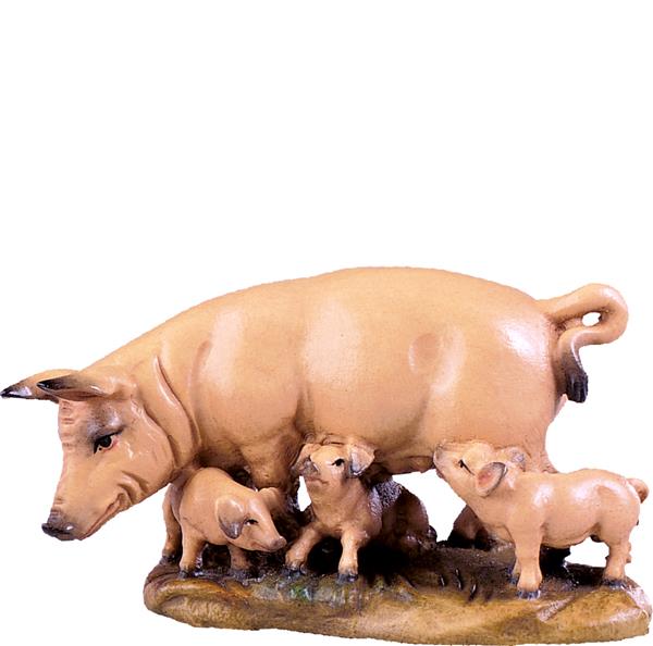Schweinegruppe Schweinegruppe