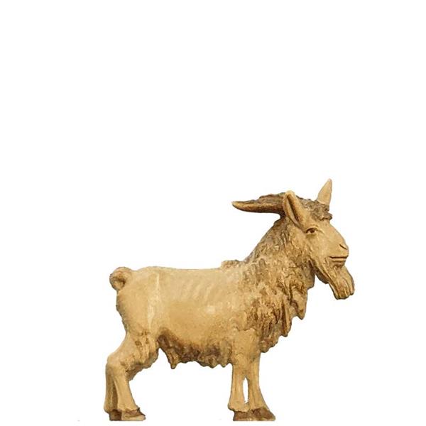 Ziegenbock Ziegenbock