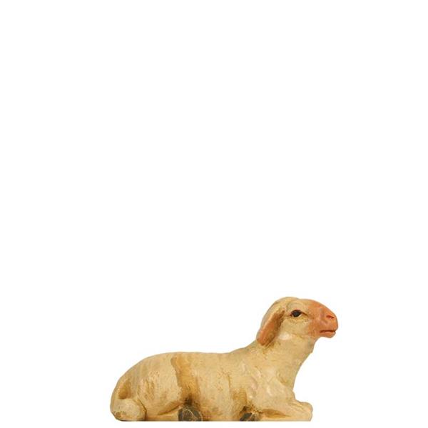 Schaf liegend Schaf liegend