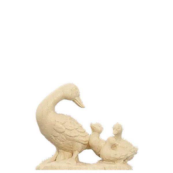 Gans mit Küken Gans mit Küken