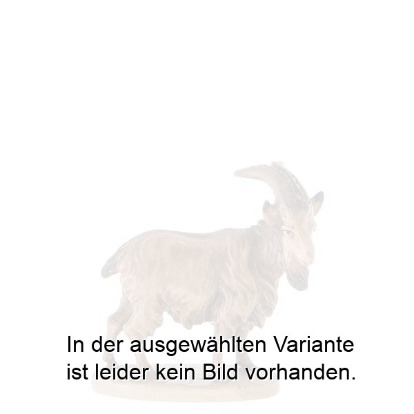 Ziegenbock Ziegenbock