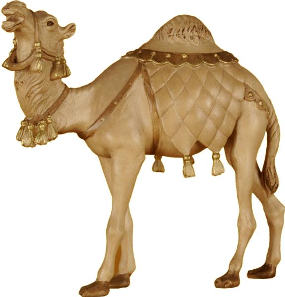 Kamel