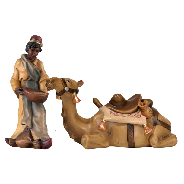 Kamel mit Treiber Kamel mit Treiber