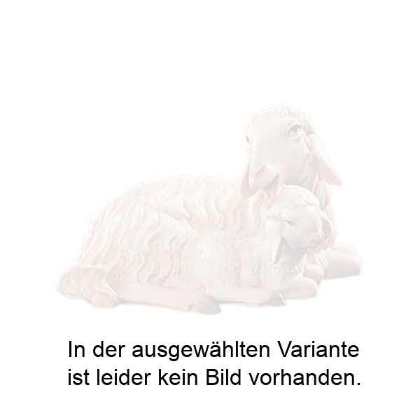 Schaf mit Lamm Schaf mit Lamm