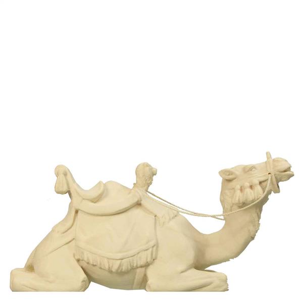 Liegendes Kamel Liegendes Kamel