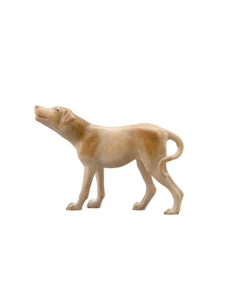 Hund Pointer