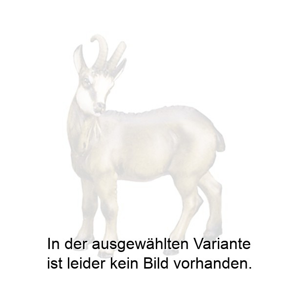 Gemsbock Gemsbock