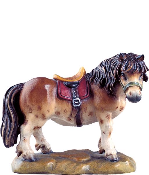 Pony Pony