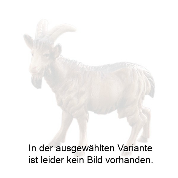 Ziege