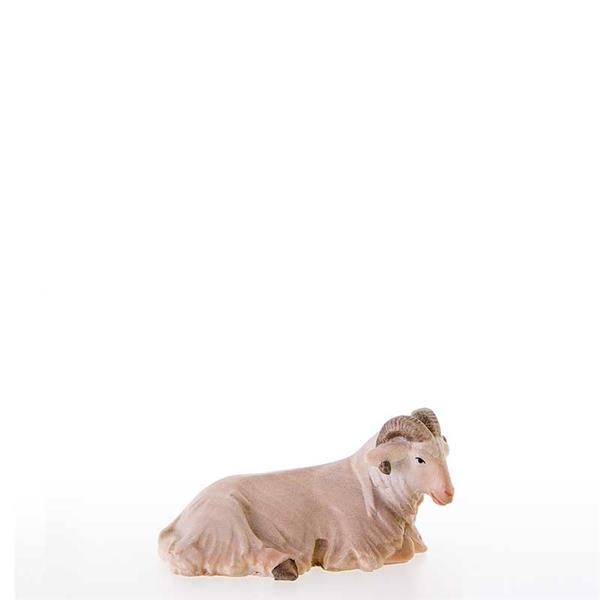 Schafbock Schafbock