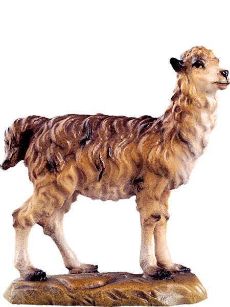 Lama Lama