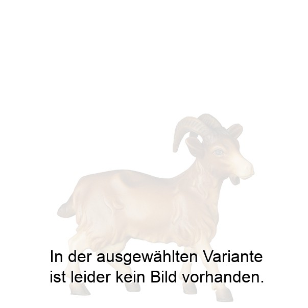 Ziege