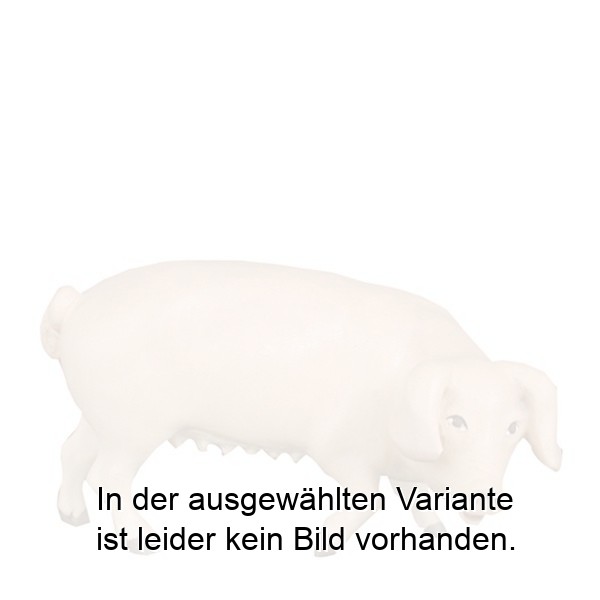 Schwein