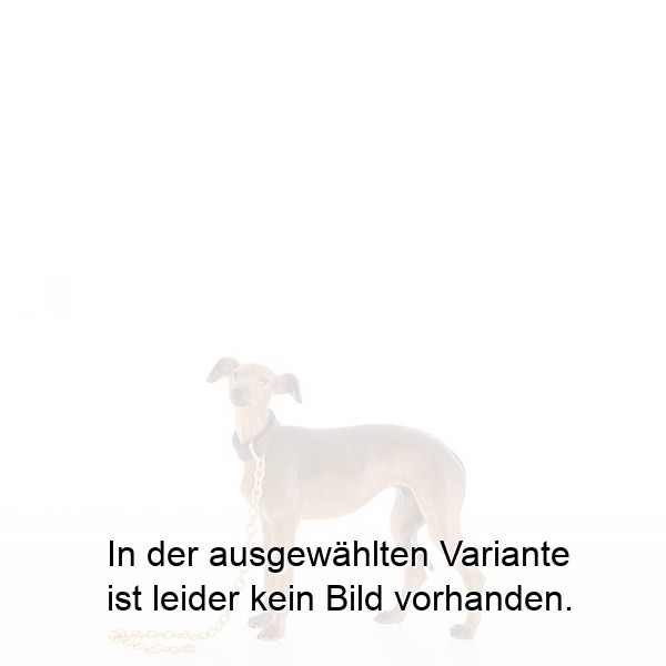 Windhund Windhund