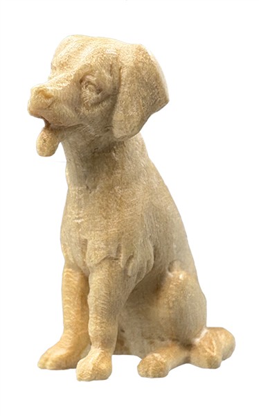 Hund modern