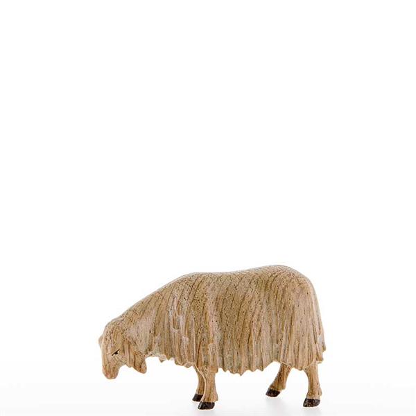 Schnupperndes Schaf
