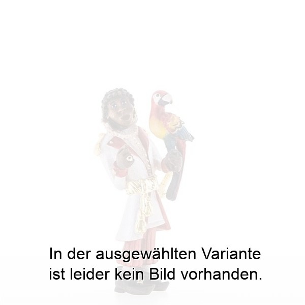 Page mit Papagai