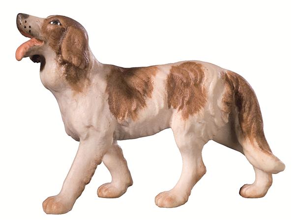 Hirtenhund Hirtenhund