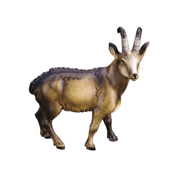 Gemsbock