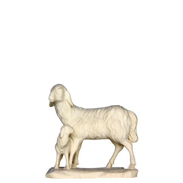 Schaf stehend Schaf stehend