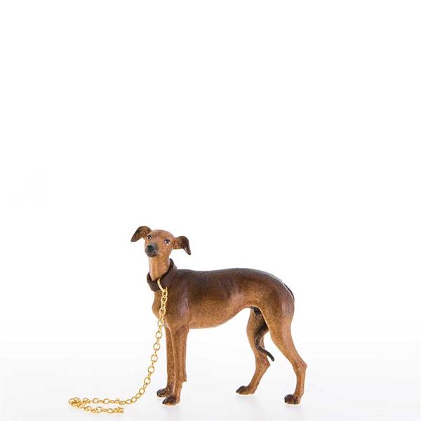 Windhund Windhund