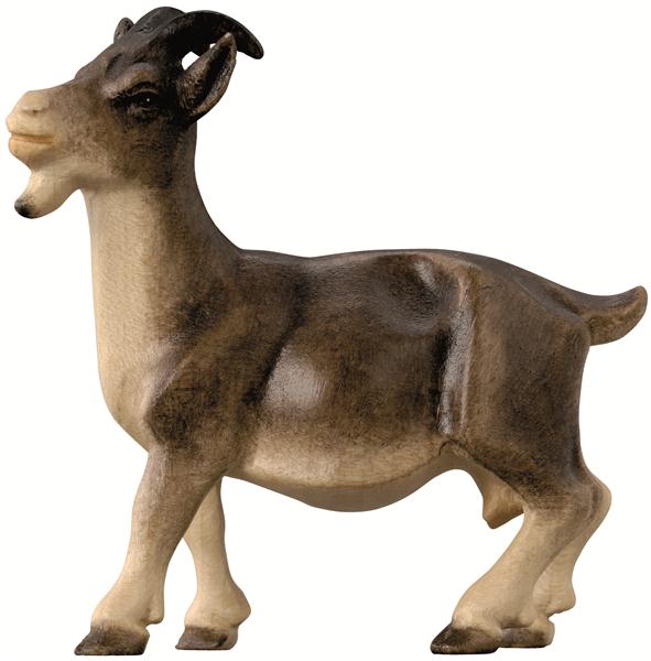 Ziege modern Ziege modern