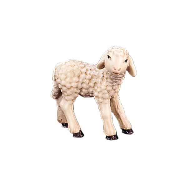 Lamm stehend Lamm stehend
