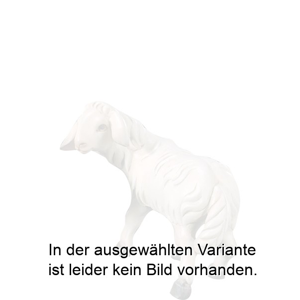 Schaf stehend lovely Schaf stehend lovely
