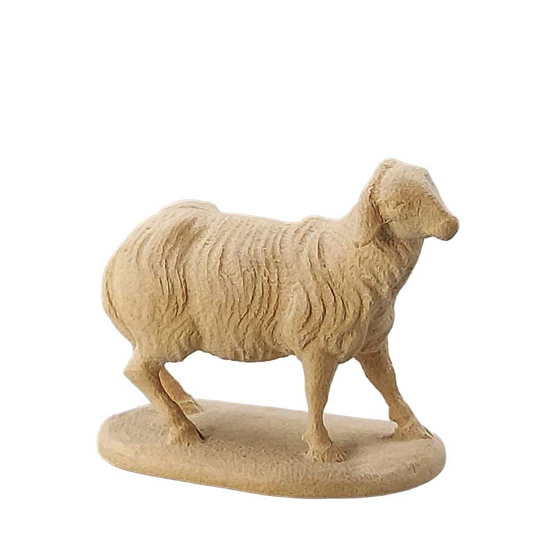 Schaf stehend Schaf stehend