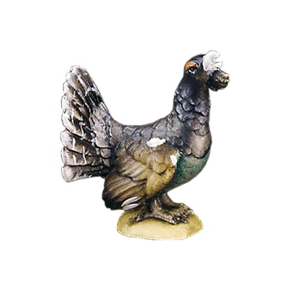 Auerhahn Auerhahn