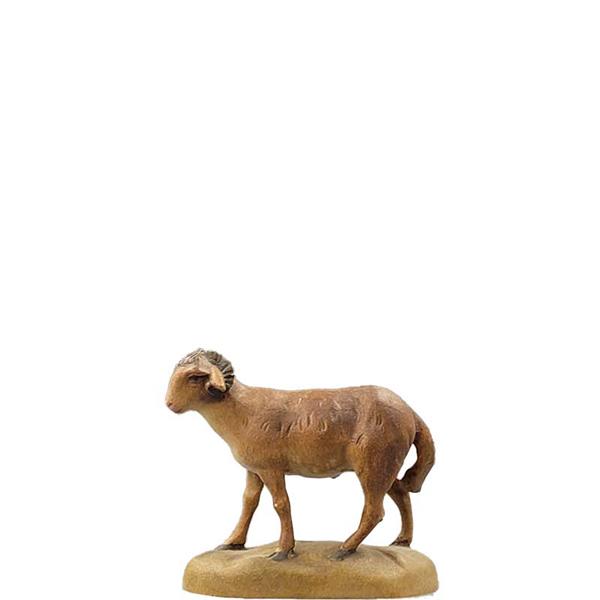 Schafbock Schafbock