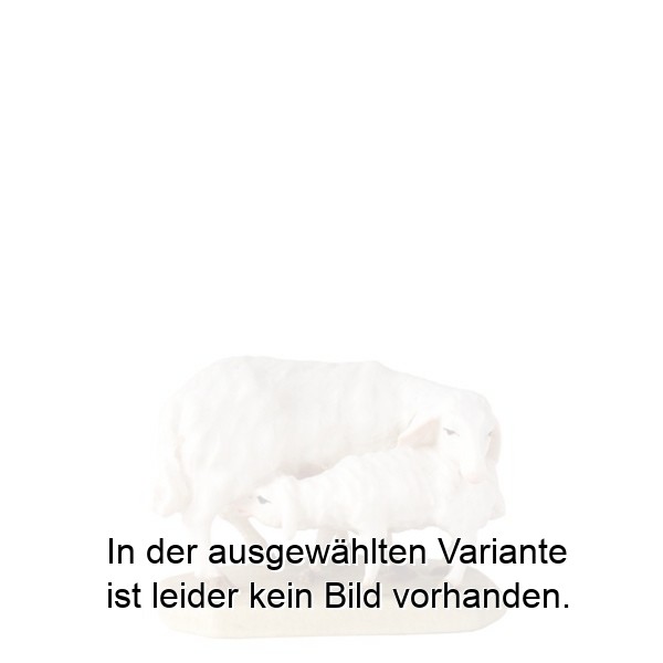 Mutterschaf