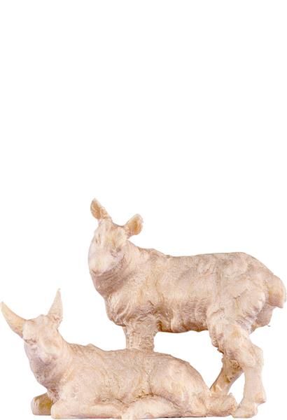 Kitzgruppe Kitzgruppe