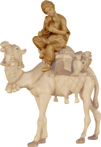 Treiber sitzend für Kamel Treiber sitzend für Kamel