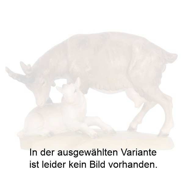 Ziege mit Kitz Ziege mit Kitz