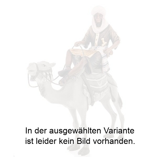 Kamelreiter Kamelreiter