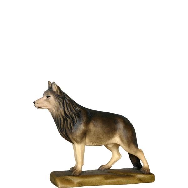 Schäferhund Schäferhund