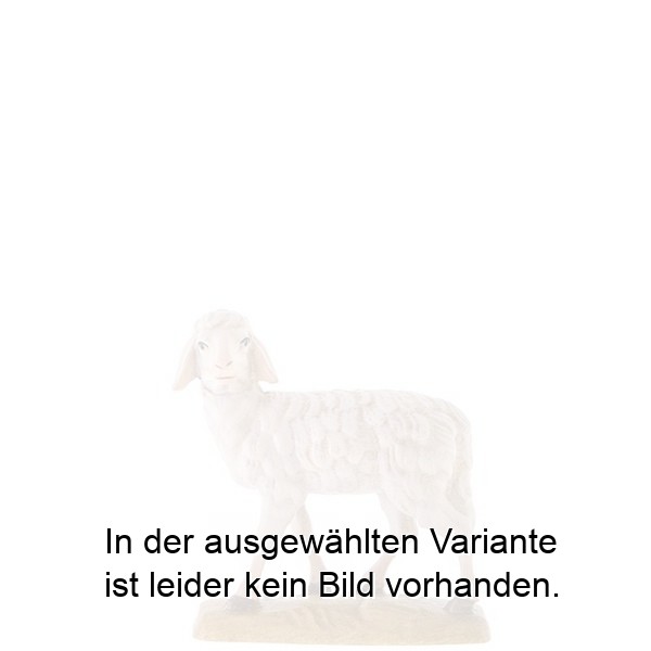 Schaf Schaf
