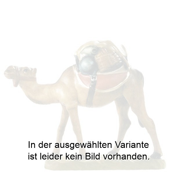 Kamel