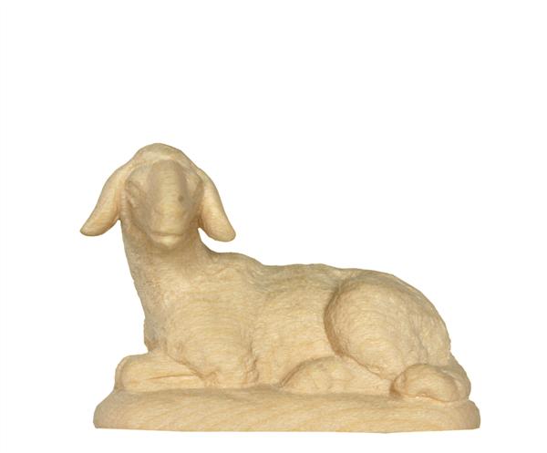 Schaf liegend Schaf liegend